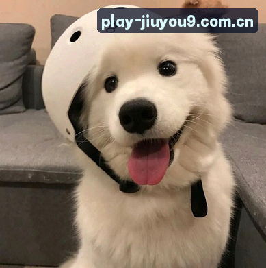 李娜